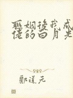 联姻后我成了大佬的白月光 小说