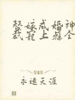 替嫁成婚神秘总裁宠上瘾全文免费阅读