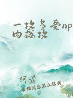 一攻多受np高肉总攻