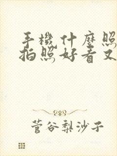 手机什么照相机拍照好看又清晰