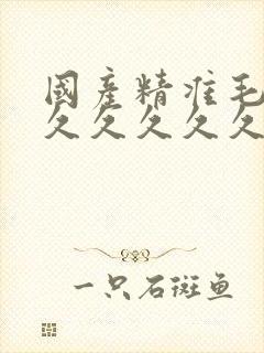 国产精准毛片久久久久久久av