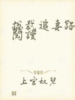 总裁追妻路漫漫阅读