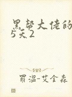 黑帮大佬的365天2