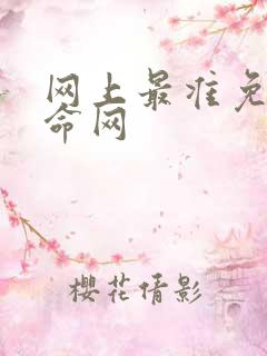 网上最准免费算命网