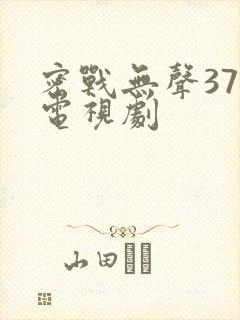 密战无声37集电视剧