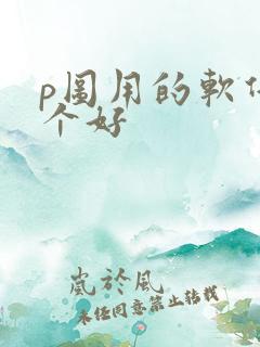 p图用的软件哪个好