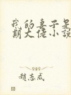 我的妻子是大乘期大佬小说结局