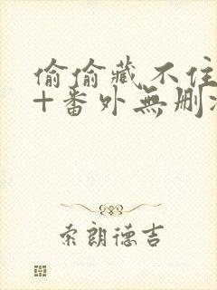 偷偷藏不住全文+番外无删减