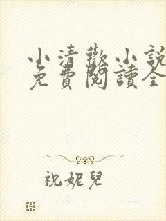 小清欢小说全文免费阅读全文