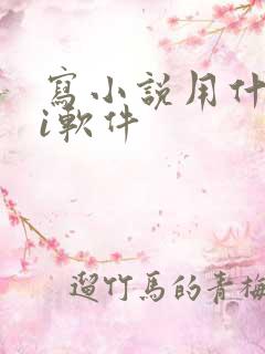 写小说用什么ai软件