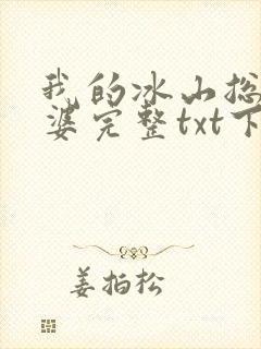 我的冰山总裁老婆完整txt下载