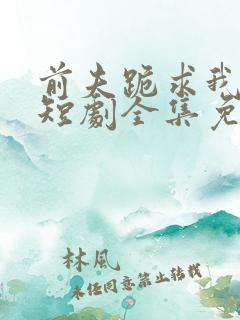 前夫跪求我原谅短剧全集免费观看