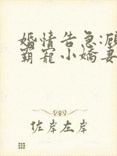 婚情告急:顾少霸宠小娇妻唐娅