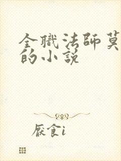 全职法师莫凡受的小说