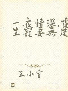 一夜情深,霍先生宠妻无度完本