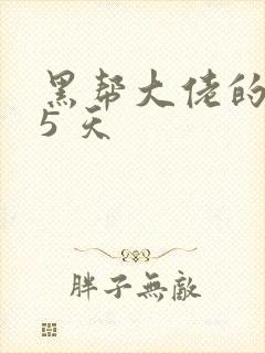 黑帮大佬的365 天