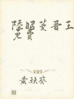 陆昭菱晋王小说免费