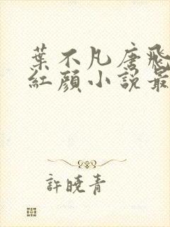 叶不凡唐飞雪宋红颜小说最新章节