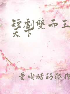 短剧双面王爷谋天下