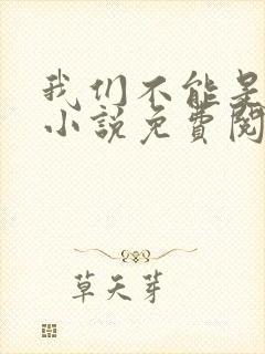 我们不能是朋友小说免费阅读