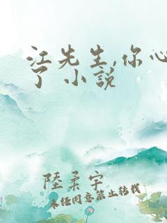 江先生,你心动了 小说