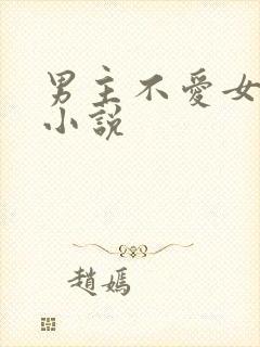 男主不爱女主的小说
