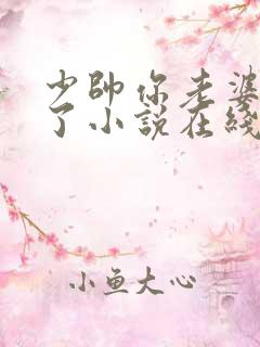 少帅你老婆又跑了小说在线阅读