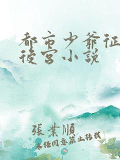 都市少爷征服的后宫小说