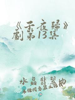《子夜归》电视剧第13集