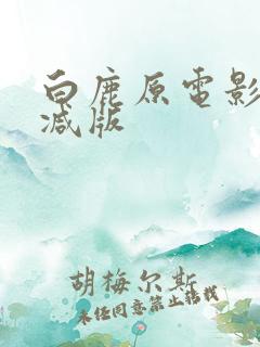 白鹿原电影无删减版