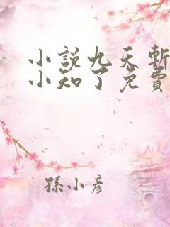 小说九天斩神诀小知了免费阅读