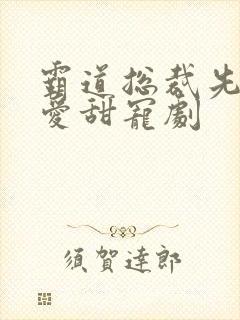 霸道总裁先婚后爱甜宠剧