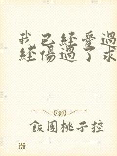 我已经爱过了已经伤过了求歌名