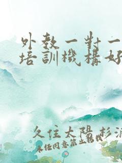 外教一对一英语培训机构好吗