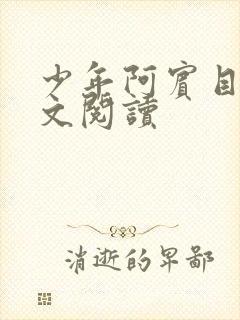 少年阿宾目录全文阅读