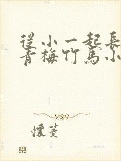 从小一起长大的青梅竹马小说