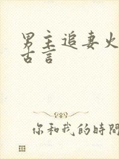 男主追妻火葬场古言