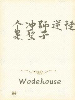 个冲师逆徒才不是圣子