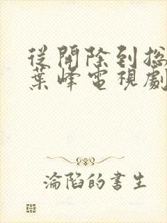 从开除到总裁的叶峰电视剧叫什么