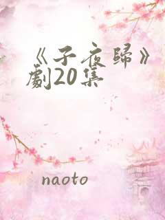 《子夜归》电视剧20集