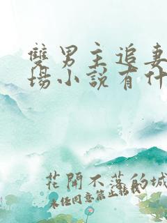 双男主追妻火葬场小说有什么