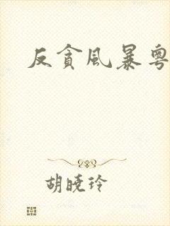 反贪风暴粤语