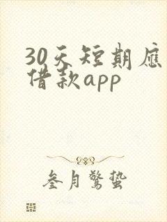 30天短期应急借款app