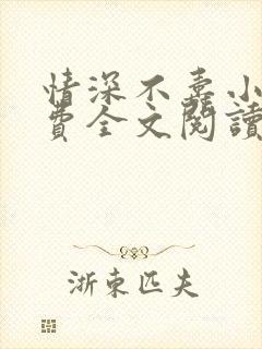 情深不寿小说免费全文阅读