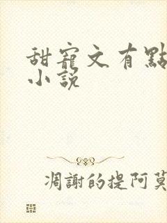 甜宠文有点肉的小说