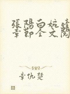 张阳白婉晴小说章节全文阅读