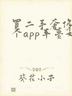 买二手奢侈品哪个app平台好一点