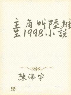 主角叫陆维的重生1998小说