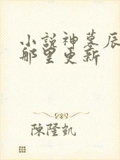 小说神墓辰东在那里更新