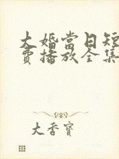 大婚当日短剧免费播放全集